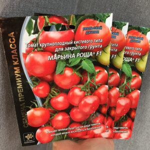 Томаты Рассада Премиум класс!!!!! Марьина Роща F1.