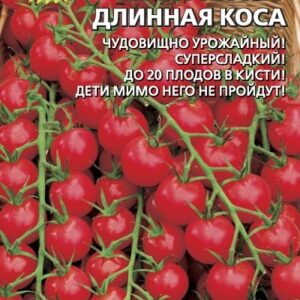 Томаты Черри- Краса-Длинная Коса.
