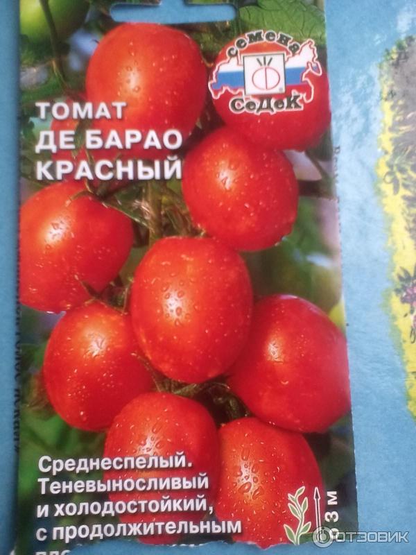 Томаты Рассада .Классика -урожайная!!!Де Барао красный.