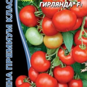 Томат Рассада .Супер Класс!!!Сибирская Гирлянда F1.