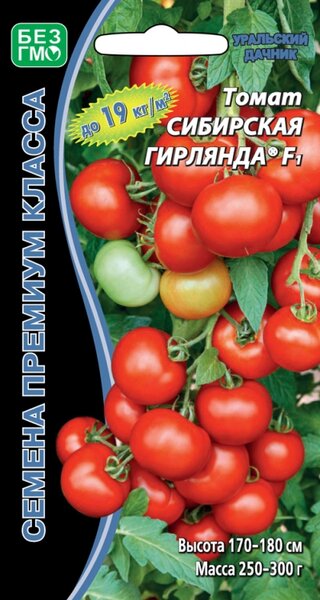 Томат Рассада .Супер Класс!!!Сибирская Гирлянда F1.