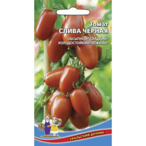 Томат Рассада .Класс- Обсыпной !Слива Черная.