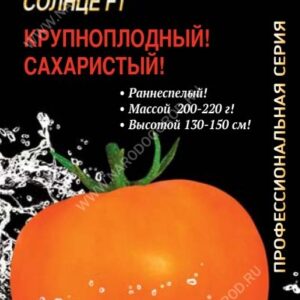 Томаты -Солнце F1 . Профессиональная серия.